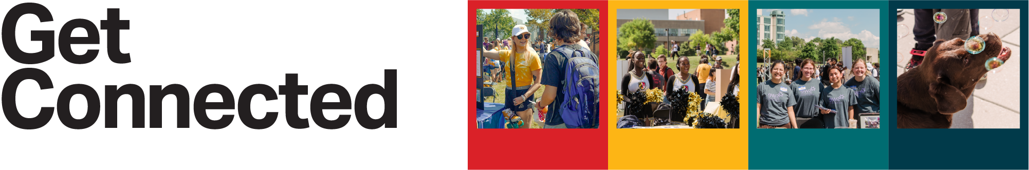 Get Connected, 4 images of students in colorful polaroid frames, the last frame houses Chip the campus comfort dog.