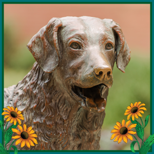 Placeholder photo of the True Grit statue in black eyed susan illustrated frame